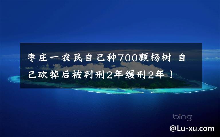 枣庄一农民自己种700颗杨树 自己砍掉后被判刑2年缓刑2年！