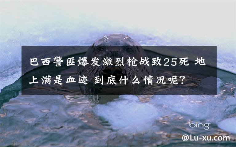 巴西警匪爆发激烈枪战致25死 地上满是血迹 到底什么情况呢？