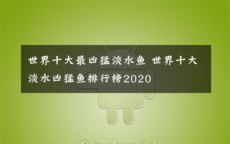 世界十大最凶猛淡水鱼 世界十大淡水凶猛鱼排行榜2020