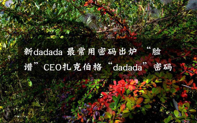 新dadada 最常用密码出炉 “脸谱”CEO扎克伯格“dadada”密码曝光