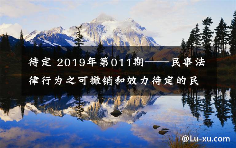 待定 2019年第011期——民事法律行为之可撤销和效力待定的民事法律行为