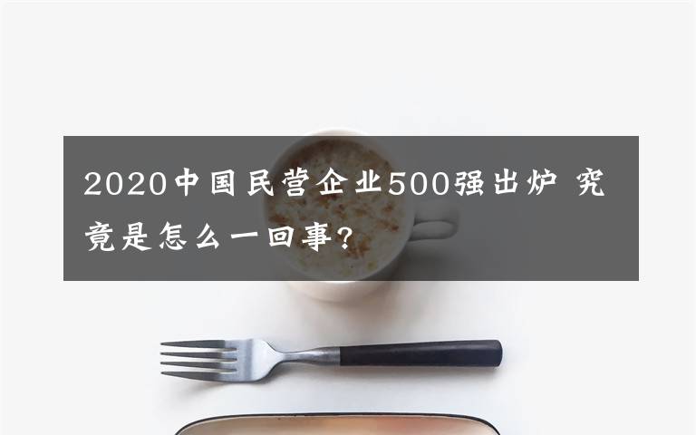 2020中国民营企业500强出炉 究竟是怎么一回事?