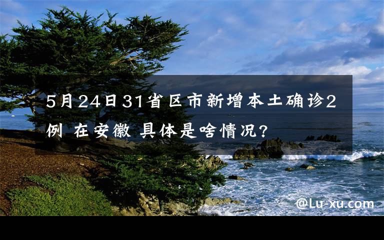 5月24日31省区市新增本土确诊2例 在安徽 具体是啥情况?