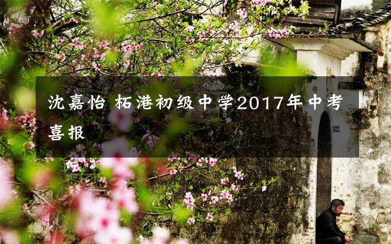 沈嘉怡 柘港初级中学2017年中考喜报