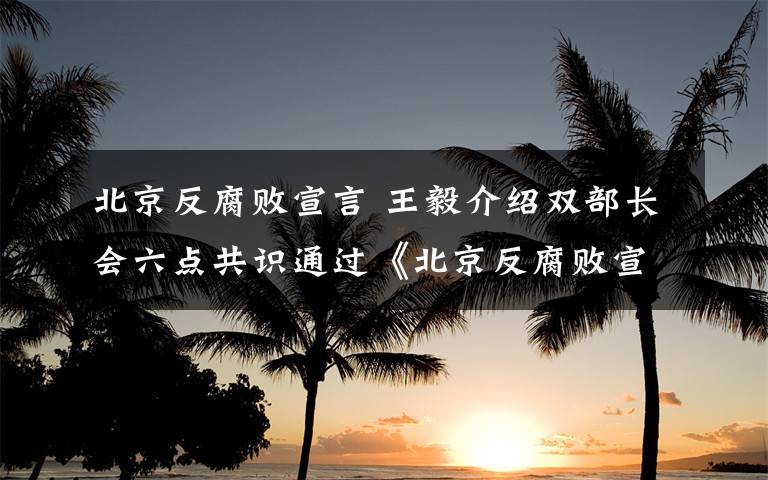 北京反腐败宣言 王毅介绍双部长会六点共识通过《北京反腐败宣言》