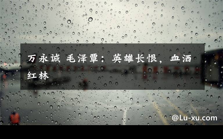 万永诚 毛泽覃：英雄长恨，血洒红林