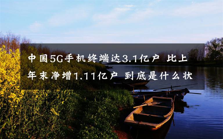 中国5G手机终端达3.1亿户 比上年末净增1.11亿户 到底是什么状况？