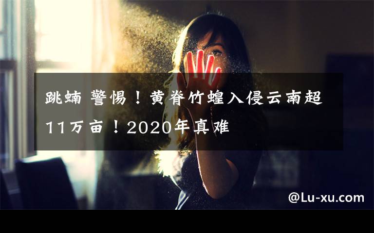 跳蝻 警惕！黄脊竹蝗入侵云南超11万亩！2020年真难