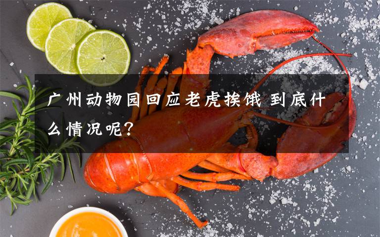 广州动物园回应老虎挨饿 到底什么情况呢？