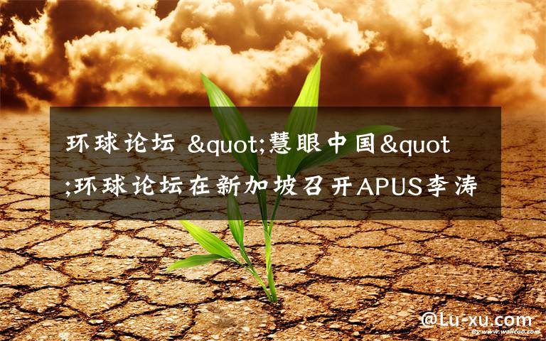 环球论坛 "慧眼中国"环球论坛在新加坡召开APUS李涛建言新创业大潮