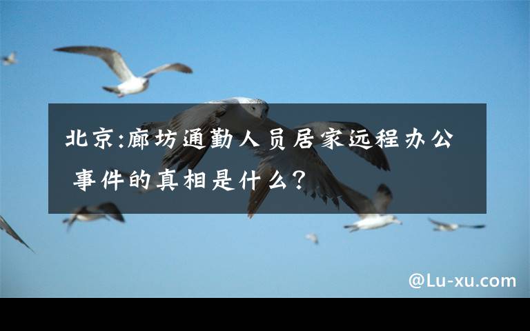 北京:廊坊通勤人员居家远程办公 事件的真相是什么？
