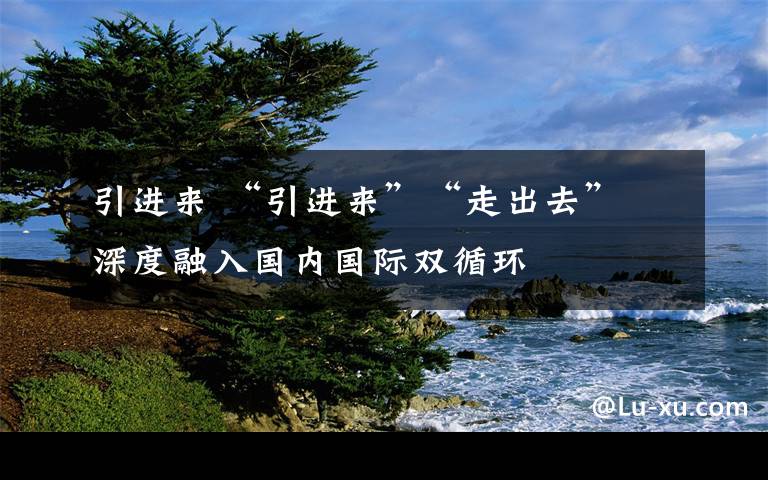 引进来 “引进来”“走出去” 深度融入国内国际双循环