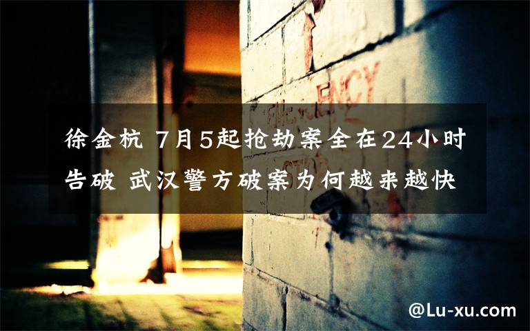 徐金杭 7月5起抢劫案全在24小时告破 武汉警方破案为何越来越快