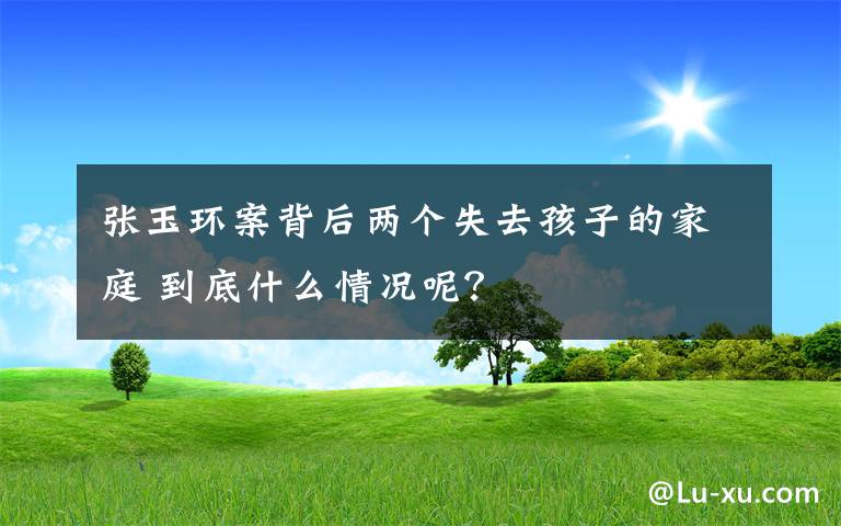 张玉环案背后两个失去孩子的家庭 到底什么情况呢？