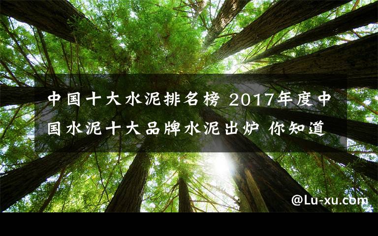 中国十大水泥排名榜 2017年度中国水泥十大品牌水泥出炉 你知道几家