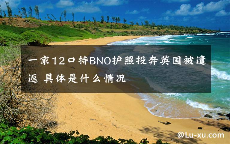 一家12口持BNO护照投奔英国被遣返 具体是什么情况