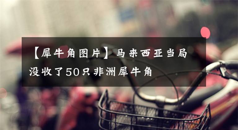 【犀牛角图片】马来西亚当局没收了50只非洲犀牛角