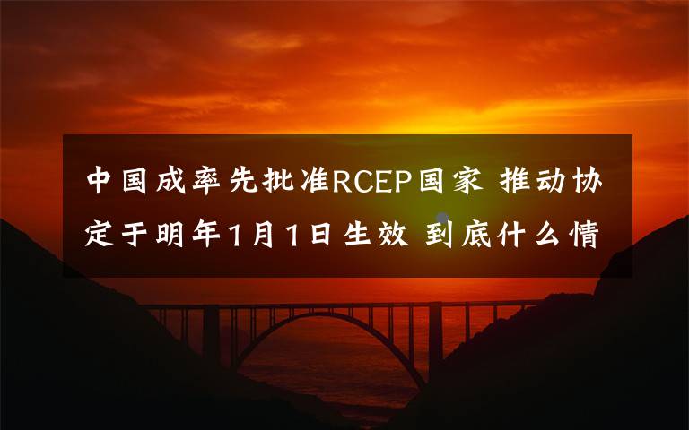 中国成率先批准RCEP国家 推动协定于明年1月1日生效 到底什么情况呢？