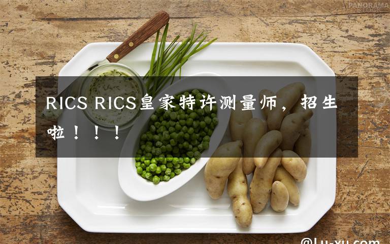 RICS RICS皇家特许测量师，招生啦！！！