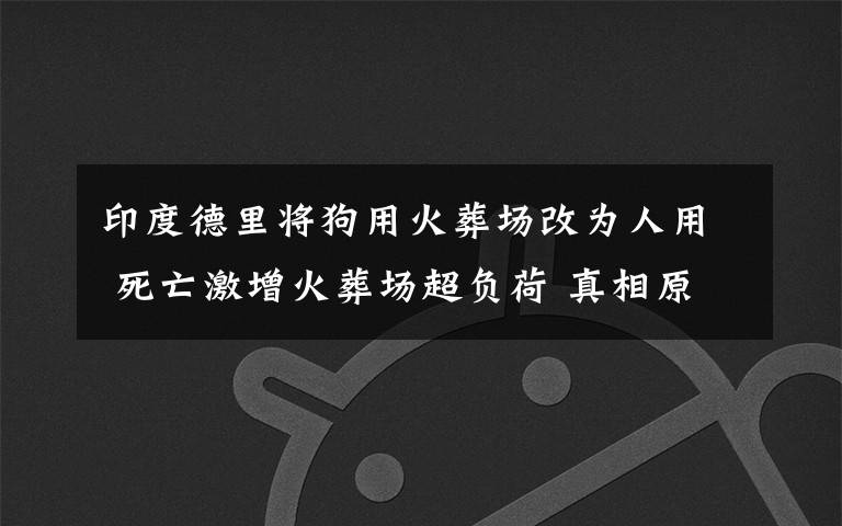 印度德里将狗用火葬场改为人用 死亡激增火葬场超负荷 真相原来是这样！