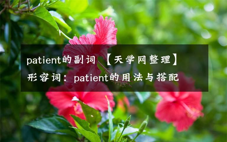patient的副词 【天学网整理】形容词：patient的用法与搭配