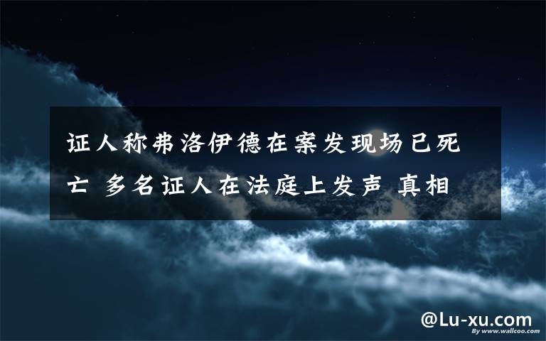 证人称弗洛伊德在案发现场已死亡 多名证人在法庭上发声 真相原来是这样！