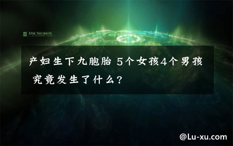 产妇生下九胞胎 5个女孩4个男孩 究竟发生了什么?