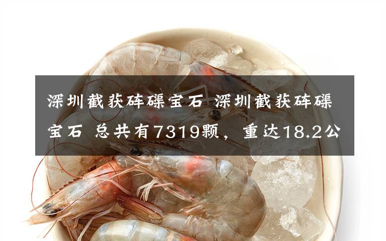 深圳截获砗磲宝石 深圳截获砗磲宝石 总共有7319颗，重达18.2公斤