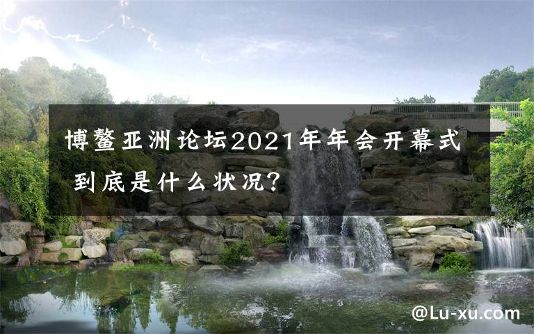 博鳌亚洲论坛2021年年会开幕式 到底是什么状况？