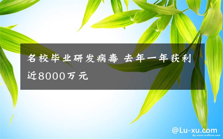 名校毕业研发病毒 去年一年获利近8000万元