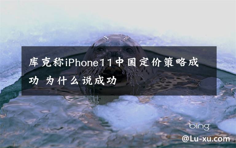 库克称iPhone11中国定价策略成功 为什么说成功