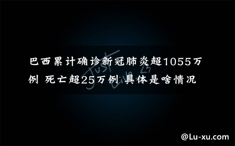 巴西累计确诊新冠肺炎超1055万例 死亡超25万例 具体是啥情况?