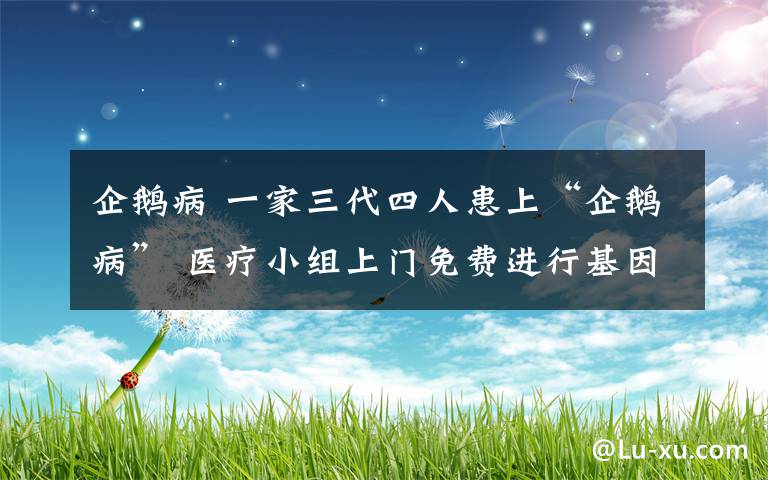 企鹅病 一家三代四人患上“企鹅病” 医疗小组上门免费进行基因检测