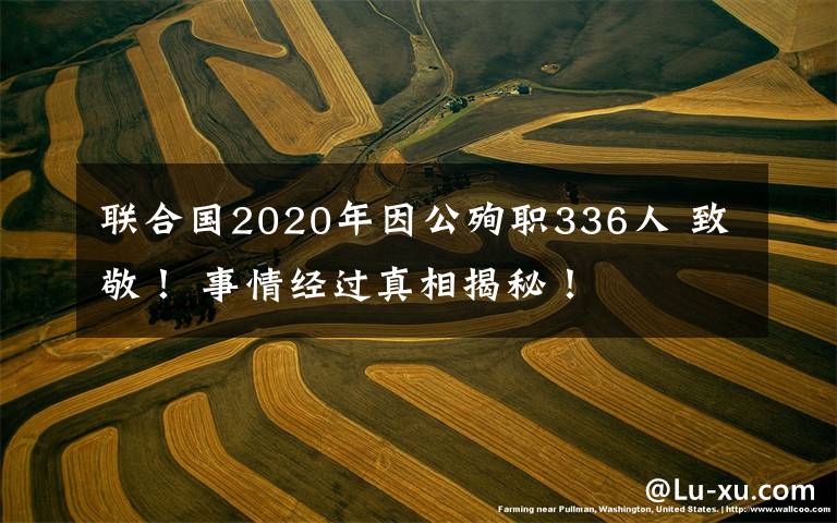 联合国2020年因公殉职336人 致敬！ 事情经过真相揭秘！