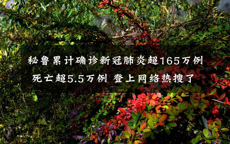 秘鲁累计确诊新冠肺炎超165万例 死亡超5.5万例 登上网络热搜了！