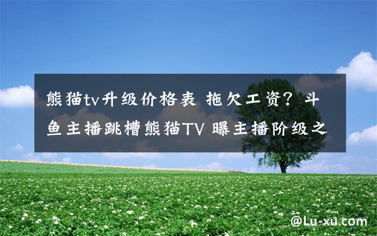 熊猫tv升级价格表 拖欠工资？斗鱼主播跳槽熊猫TV 曝主播阶级之分