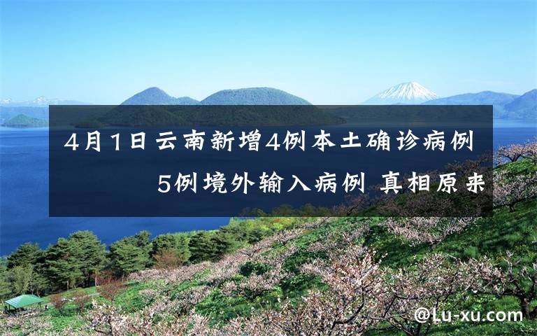 4月1日云南新增4例本土确诊病例    5例境外输入病例 真相原来是这样！