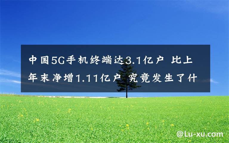 中国5G手机终端达3.1亿户 比上年末净增1.11亿户 究竟发生了什么?