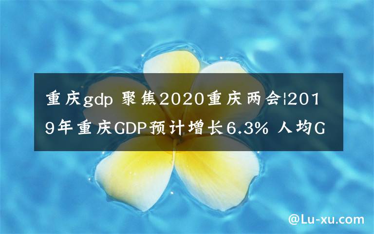 重庆gdp 聚焦2020重庆两会|2019年重庆GDP预计增长6.3% 人均GDP突破1万美元