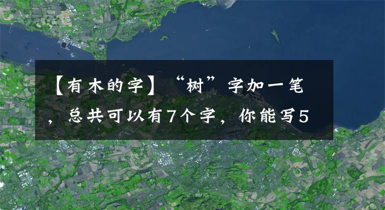 【有木的字】“树”字加一笔，总共可以有7个字，你能写5个以上吗？