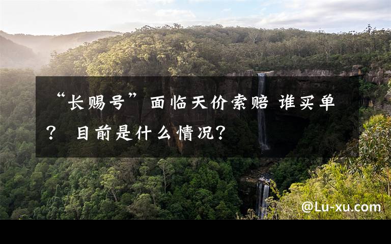 “长赐号”面临天价索赔 谁买单？ 目前是什么情况？