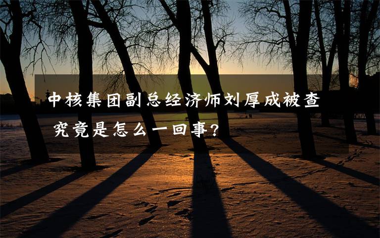 中核集团副总经济师刘厚成被查 究竟是怎么一回事?