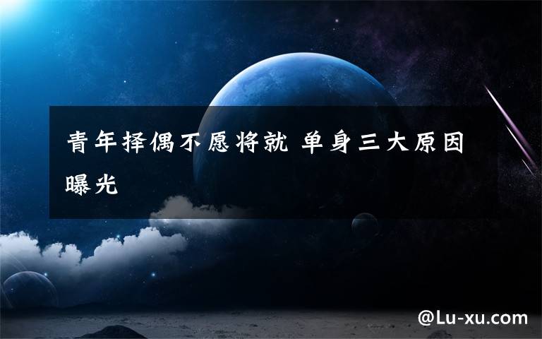 青年择偶不愿将就 单身三大原因曝光