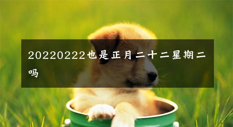 20220222也是正月二十二星期二吗
