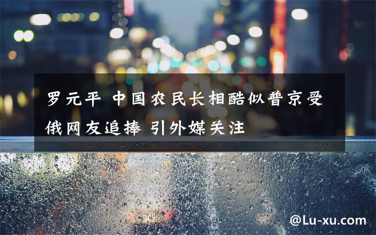 罗元平 中国农民长相酷似普京受俄网友追捧 引外媒关注