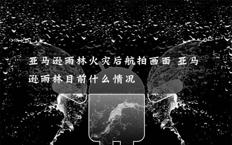 亚马逊雨林火灾后航拍画面 亚马逊雨林目前什么情况