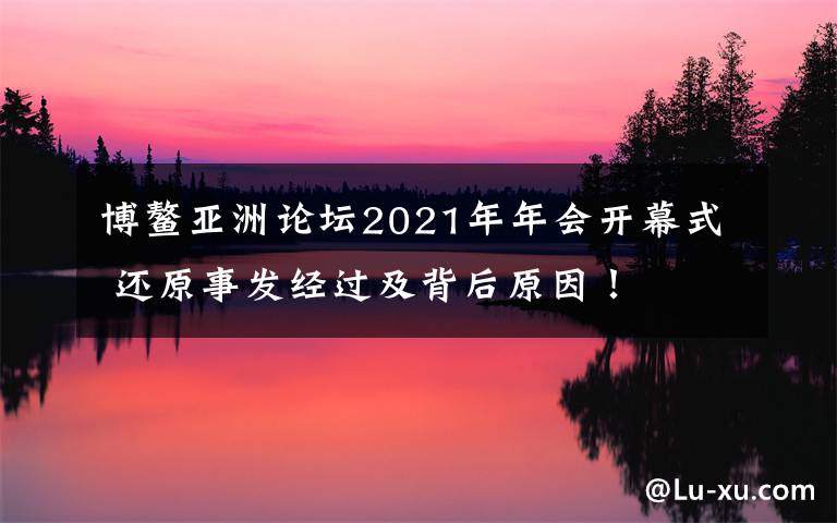 博鳌亚洲论坛2021年年会开幕式 还原事发经过及背后原因！
