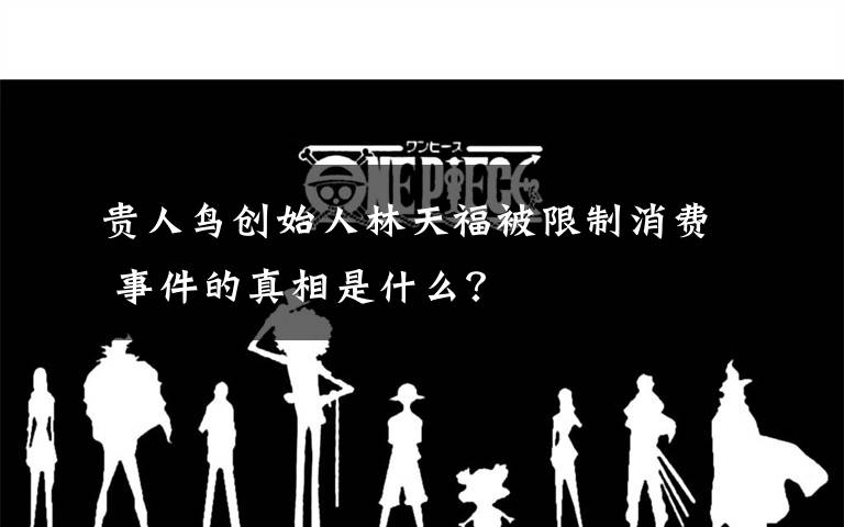 贵人鸟创始人林天福被限制消费 事件的真相是什么？