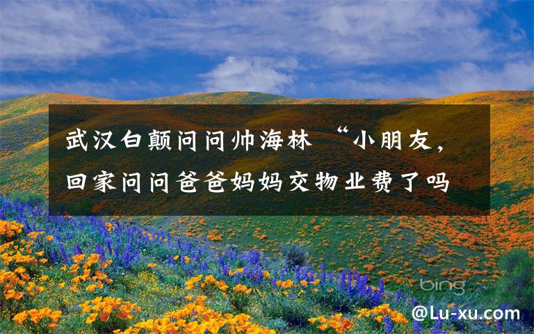 武汉白颠问问帅海林 “小朋友，回家问问爸爸妈妈交物业费了吗？”武汉一小区挂奇葩催款横幅！业主们都怒了，物业却说……