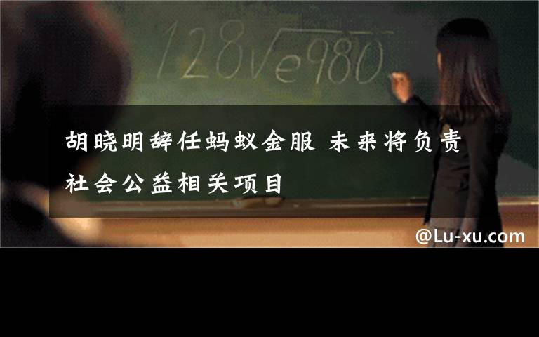 胡晓明辞任蚂蚁金服 未来将负责社会公益相关项目